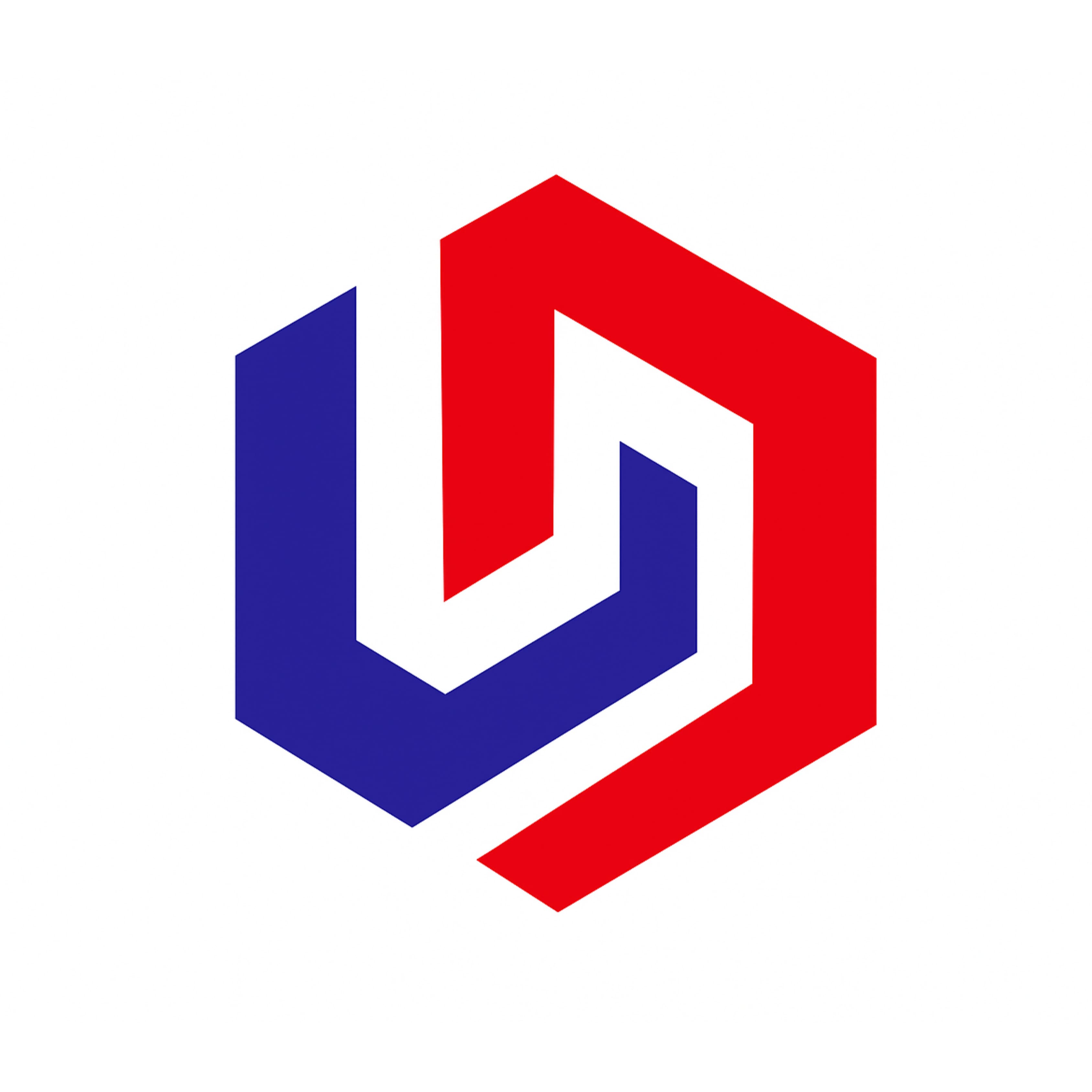 Divine Service Ltd. Logo